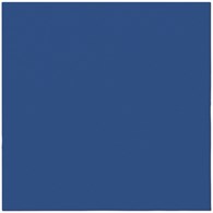 PAW Serwetka Airlaid 40x40 ciemno niebieska (60/8/50)