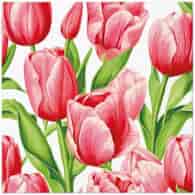 PAW Serwetka 3W 33x33cm Nadruk tulipany różowe  (_/12/20)