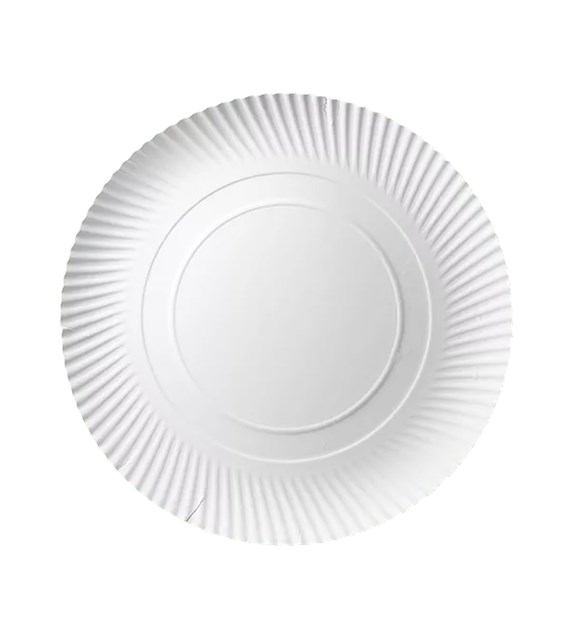 TALERZ PAPIEROWY biały 32cm 320g (_/1/100)