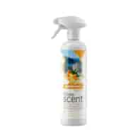 CLINEX SCENT Skoncentrowany odświeżacz powietrza EGEJSKI OWOC 0,5L (136/6/1)
