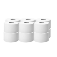 Papier toaletowy BIG ROLL BASIC celuloza 100/2W (60/1/12)