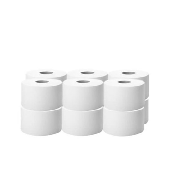 Papier toaletowy BIG ROLL BASIC celuloza 100/2W (60/1/12)