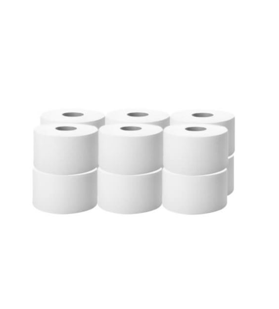 Papier toaletowy BIG ROLL BASIC celuloza 100/2W (60/1/12)
