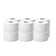 Papier toaletowy BIG ROLL BASIC celuloza 100/2W (60/1/12)
