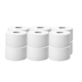 Papier toaletowy BIG ROLL BASIC celuloza 100/2W (60/1/12)