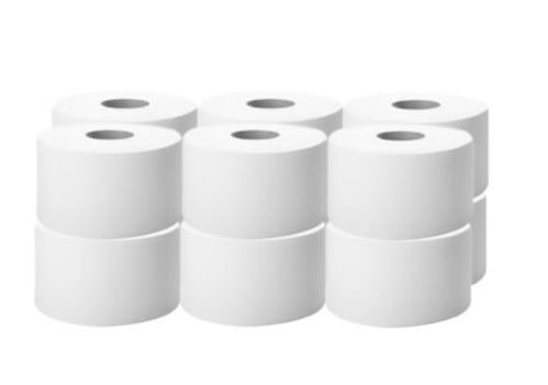 Papier toaletowy BIG ROLL BASIC celuloza 100/2W (60/1/12)