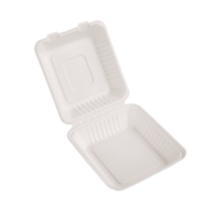 (EKO) Love Nature menubox z trzciny cukrowej niedzielony 23x23x8cm (31/4/50)