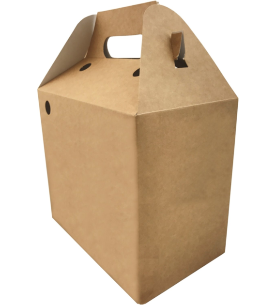 Pudełko zestaw GASTRO z uchwytami 100szt (brązowe, 202x123x176/ P510)