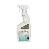 PANI DOMU CZYSTA ŁAZIENKA 0,65L