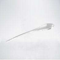 (REUSE) FINGERFOOD Łyżeczka mini transparentna 10cm PS (120/20/100)