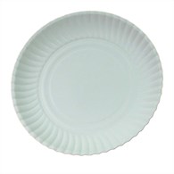 Enjoy Eat&Go talerz papierowy BIAŁY 24cm (60/10/100)