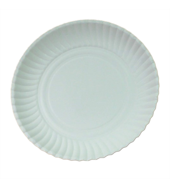 Enjoy Eat&Go talerz papierowy BIAŁY 24cm (60/10/100)