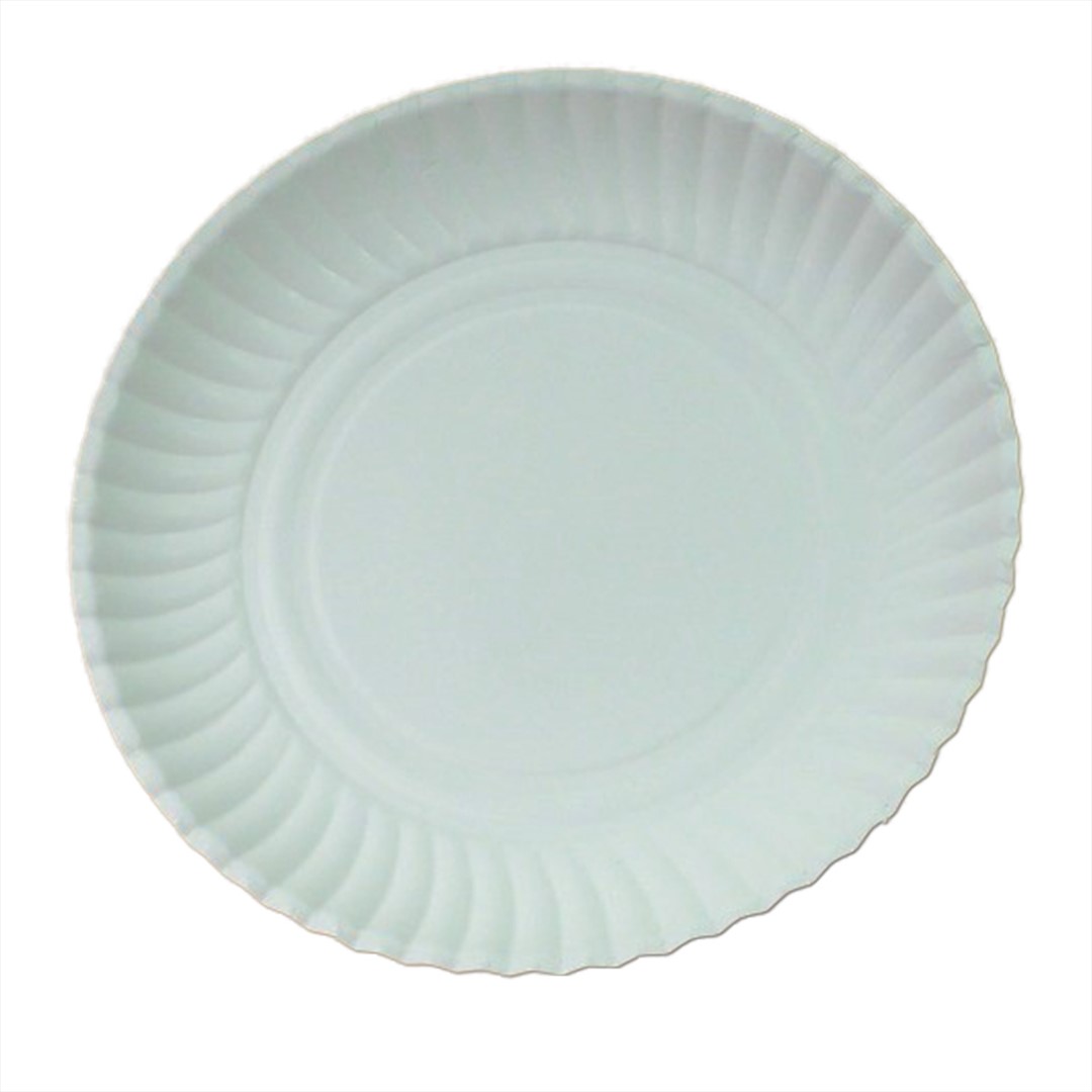 Enjoy Eat&Go talerz papierowy BIAŁY 24cm (60/10/100)