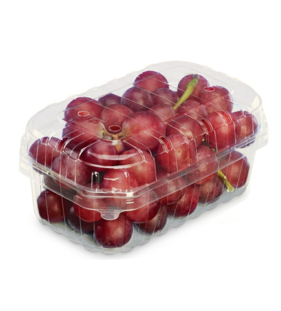 POJEMNIK NA OWOCE F-500ML/I-58 SZT (1518SZT)