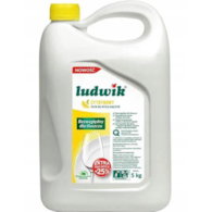 LUDWIK płyn do mycia naczyń o zapachu cytrynowym 5L (114/1/1)