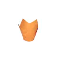 Papilotki TULIPANKI POMARAŃCZOWE (_/12/200)