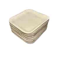 TALERZ KWADRATOWY Z LIŚCIA PALMOWEGO 20x20x1,5cm (_/4/25)