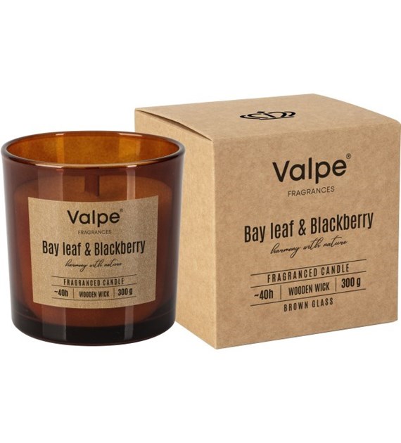 BISPOL Świeca zapachowa w szkle z drewnianym knotem 40h liść laurowy-jeżyna (_/6/1)