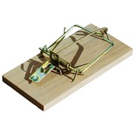 BROS Łapka na myszy drewniana (_/30/2)