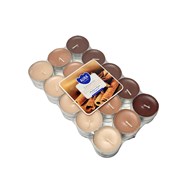 BISPOL podgrzewacz zapachowy  Cynamon  (_/6/30)