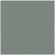 PAW Serwetka Airlaid 40x40 Jasno zielona (60/8/50)