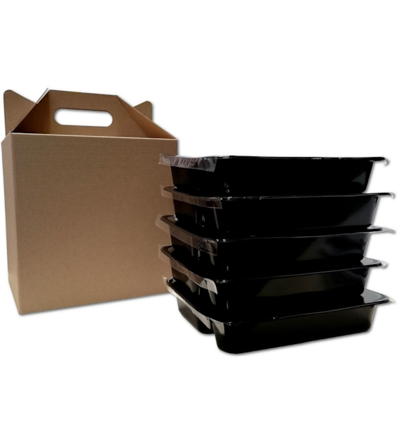 Pudełko DIETA BOX na 4 pojemniki z uchwytami 290x190x230